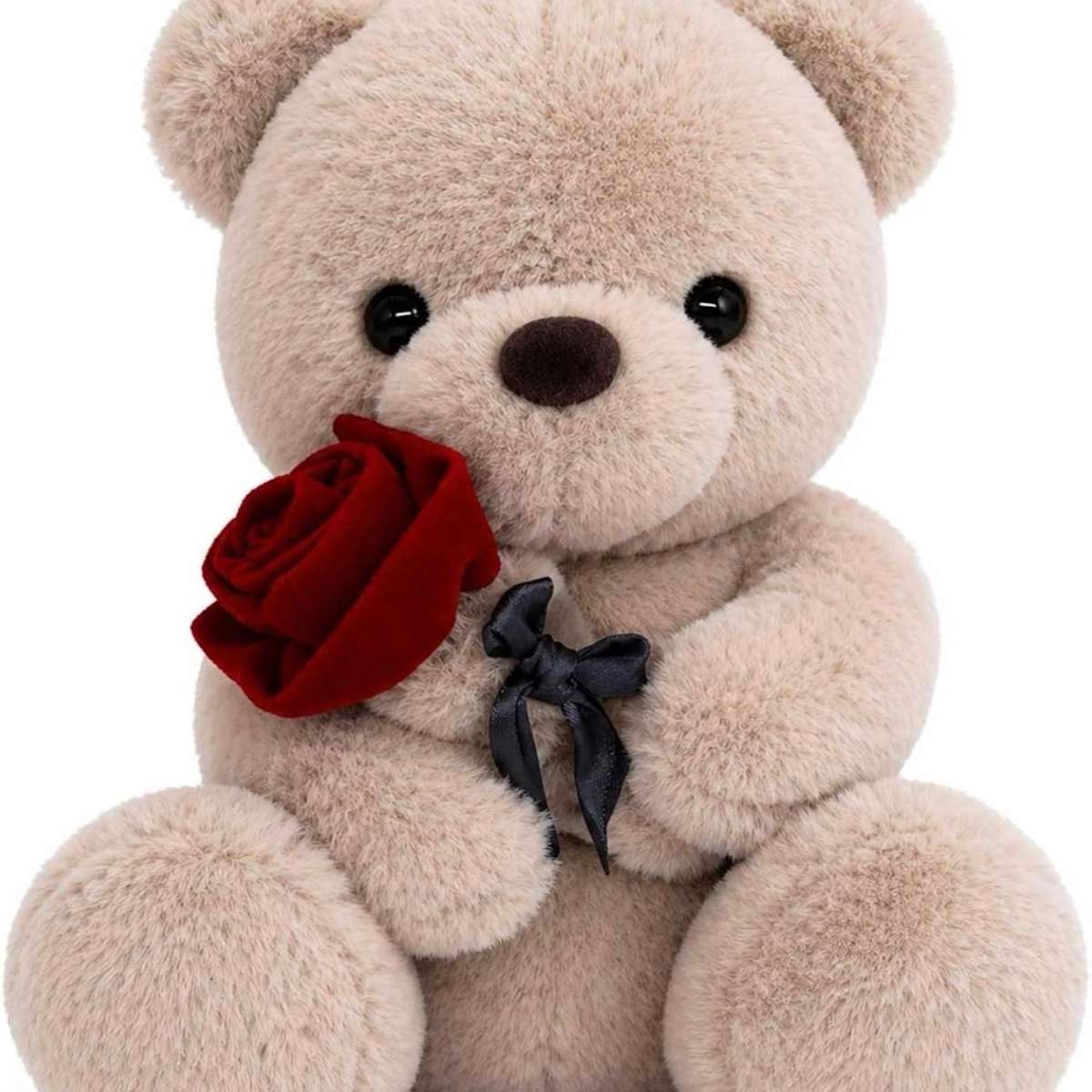 Red Rose Teddy Bear — plush teddy bear holding a red rose